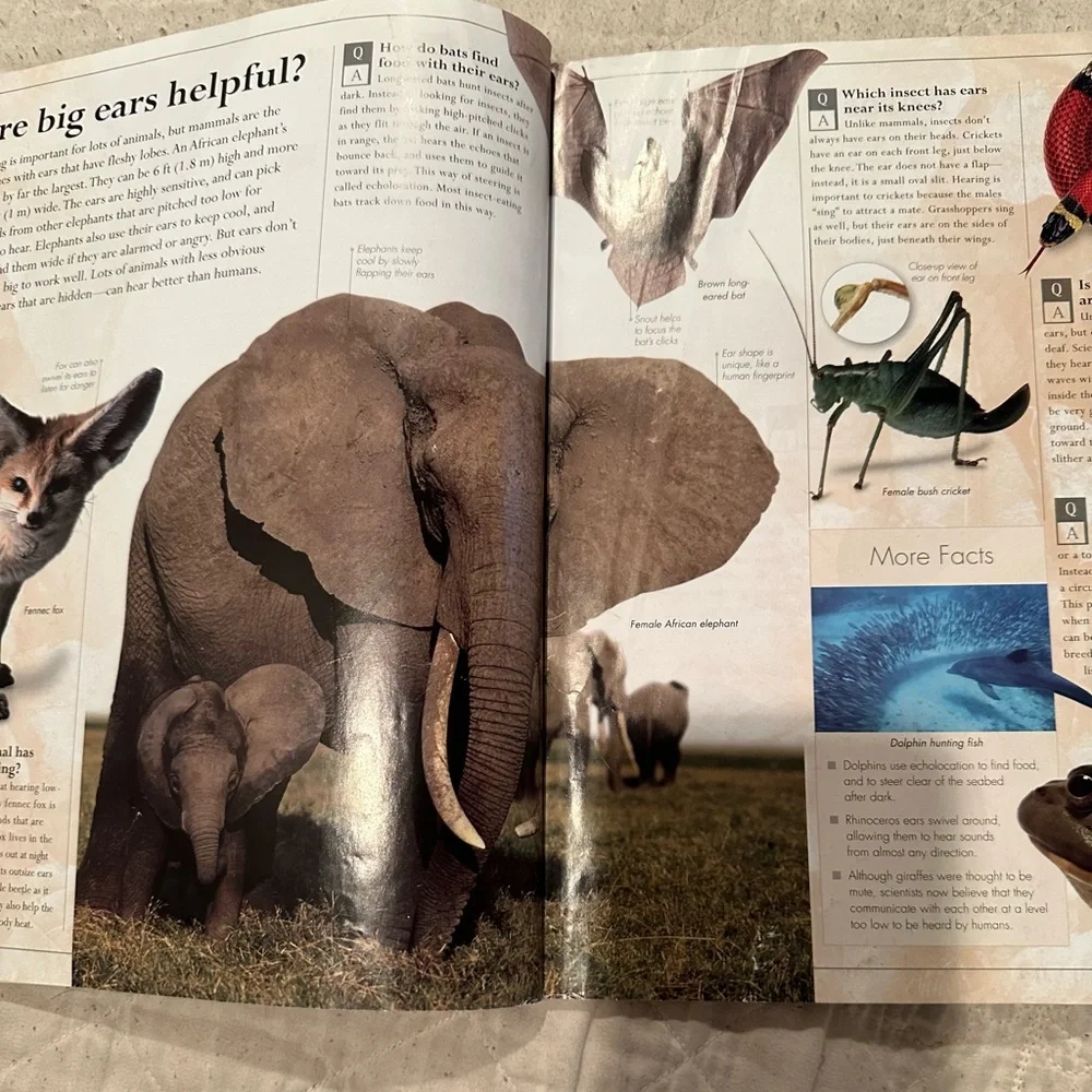 Amazing Animals Q&A- everything you never knew about the animal kingdom - Picture 6 of 10